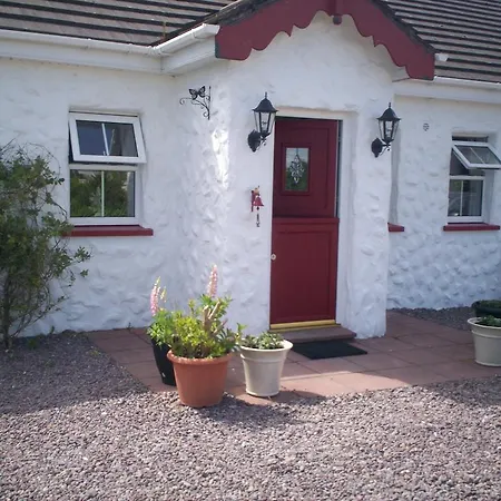 Acorn * Tralee